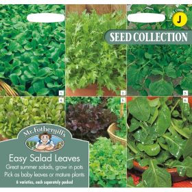 Easy Salad Leaves Seeds